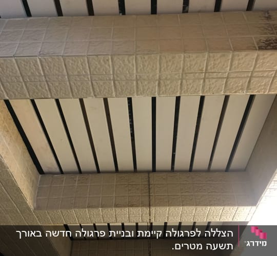 תקרה עם קורות עץ ולבנים מרובעות